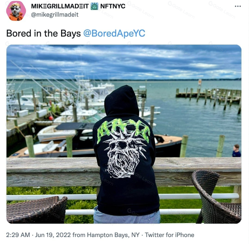 什么是 BAYC?