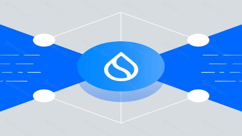 Sui：L1的新兴生态和创新模式