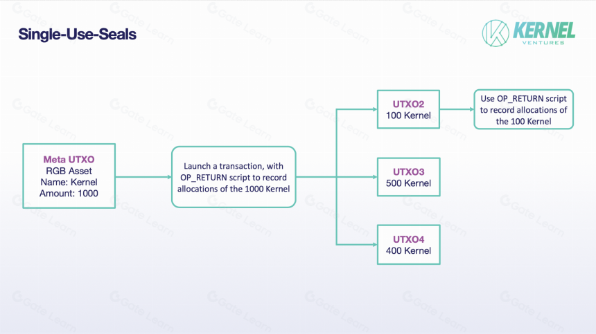 Kernel Ventures：RGB 能否复刻 Ordinals 的热潮