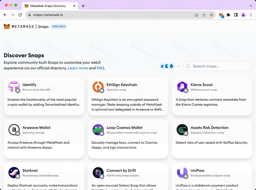 MetaMask Snap 技术回顾:开发经验、能力限制、安全性和商业潜力分析