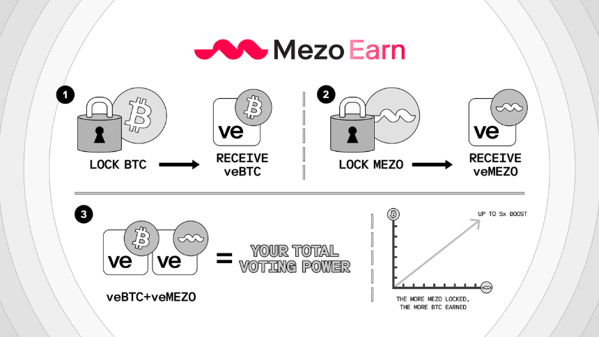 Mezo 的整体运作逻辑是什么?