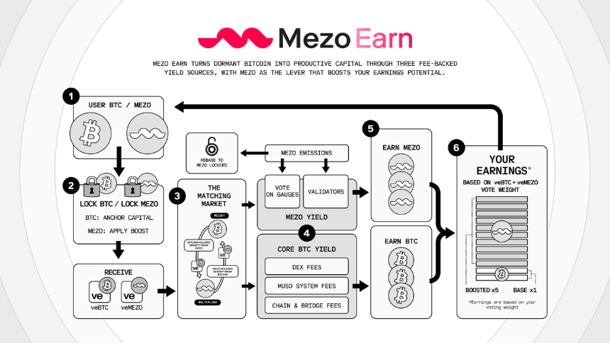 Mezo 的整体运作逻辑是什么?