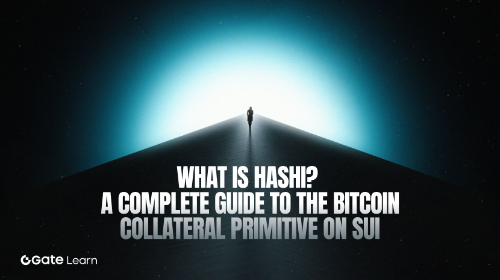 Hashi 是什么？一文读懂 Sui 上的比特币抵押原语