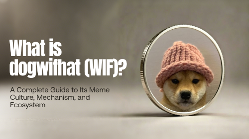 什么是 dogwifhat（WIF）？全面了解其 Meme 文化、运行机制与生态结构