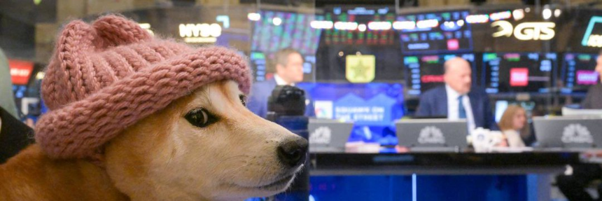 Meme 文化如何塑造 dogwifhat 的身份？