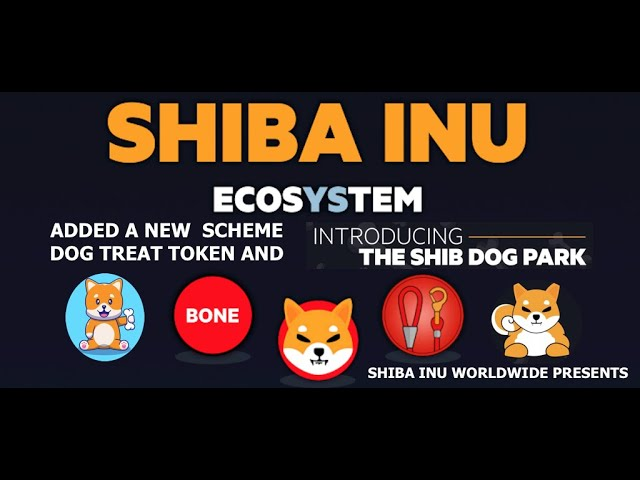 Shibarium 对 SHIB 价值有什么影响？