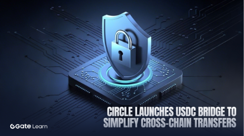 Circle 推出 USDC Bridge:让跨链转账变得更直觉