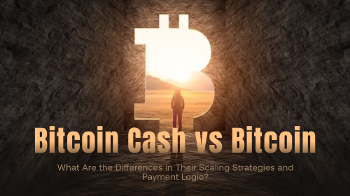 <span class='keyword'>Bitcoin Cash</span> vs Bitcoin:两者的扩容路线与支付逻辑有什么区别?
