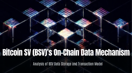 Bitcoin SV（BSV）的链上数据机制是什么？BSV 数据存储与交易模型解析
