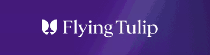 Flying Tulip 的新安全设计