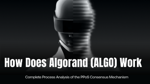 Algorand(ALGO)是如何运作的?PPoS 共识机制完整流程解析