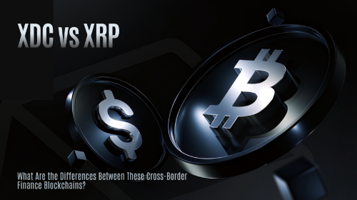 XDC vs XRP：两种跨境金融区块链有什么区别？