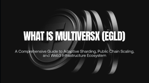 什么是 MultiversX(EGLD)?全面理解自适应分片、公链扩展与 Web3 基础设施生态