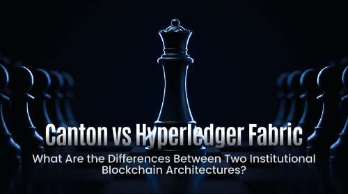 Can<span class='keyword'>ton</span> vs Hyperledger Fabric:两种机构级区块链架构有何区别?