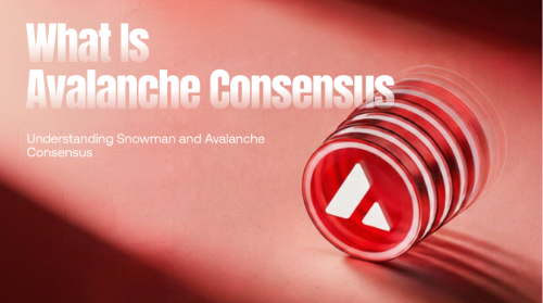 <span class='keyword'>Avalanch</span>e 共识机制是什么?Snowman 与 <span class='keyword'>Avalanch</span>e Consensus 解析