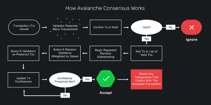 Avalanche Consensus 如何工作