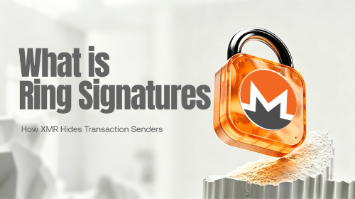 Monero 的 Ring Signatures 是什么?XMR 如何隐藏交易发送者