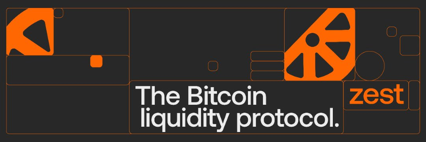 Zest Protocol 的诞生背景是什么?