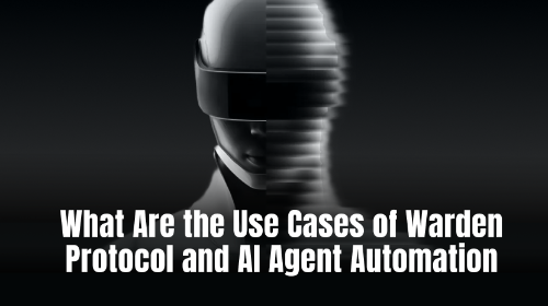Warden Protocol 有哪些应用场景?AI Agent 与链上自动化解析