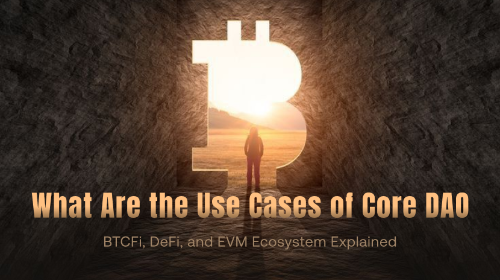 Core DAO 有哪些应用场景?BTCFi、DeFi 与 EVM 生态解析