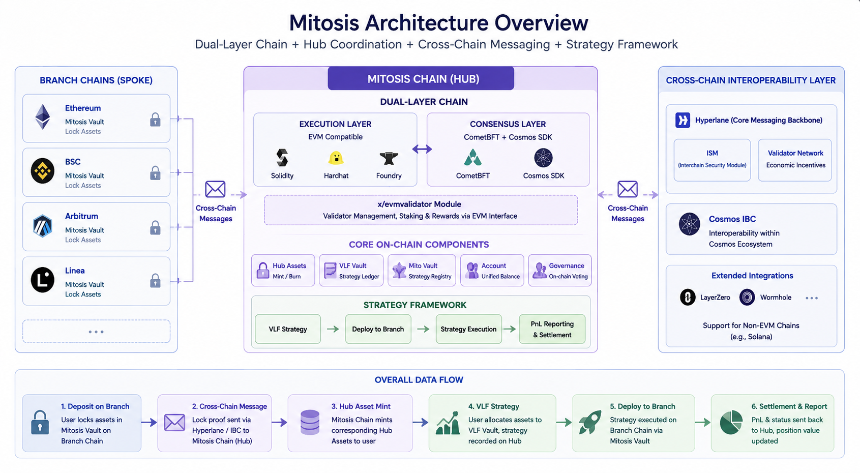 Mitosis 的核心技术架构解析