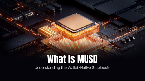 MetaMask USD 是什么?钱包原生稳定币机制解析