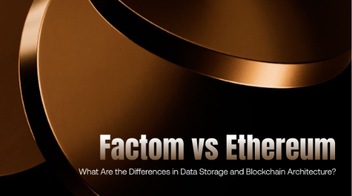 Factom vs Ethereum：数据存储与区块链架构有何区别