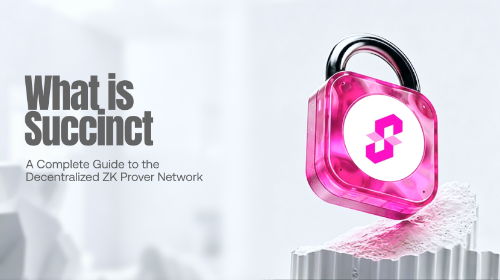 什么是 Succinct？一文读懂去中心化 ZK Prover Network 与可编程验证基础设施