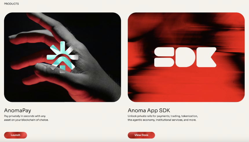 Anoma 生态的未来发展方向与市场潜力