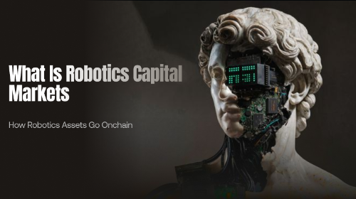 Robotics Capital Markets 是什么?机器人资产如何实现链上化