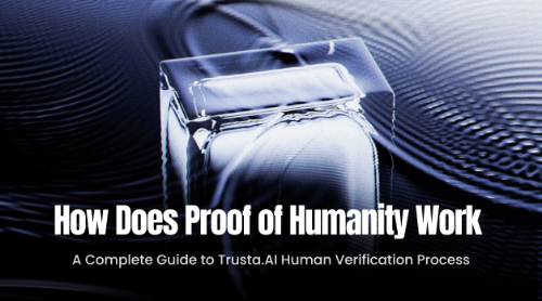 Proof of Humanity 是如何运作的？Trusta.AI 真人身份验证完整流程解析