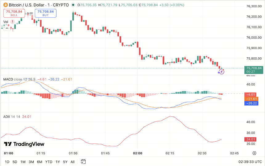 MACD 与 ADX 对比：趋势方向与趋势强度的区别