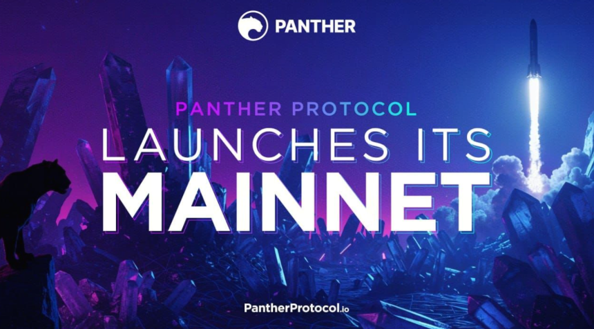 什么是 Panther Protocol