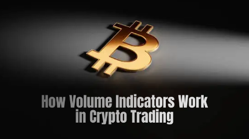 成交量指标在加密货币交易中的工作原理
