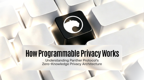 Programmable Privacy 如何运作?解析 Panther Protocol 的零知识隐私架构