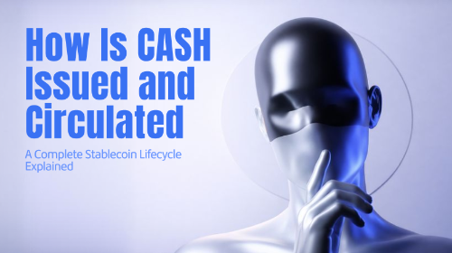 CASH 是如何发行和流通的?完整稳定币生命周期解析