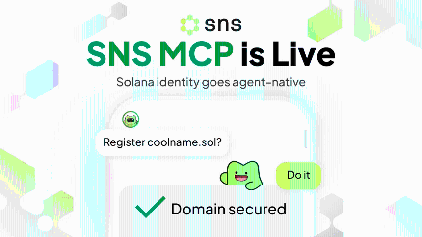 SNS MCP solana