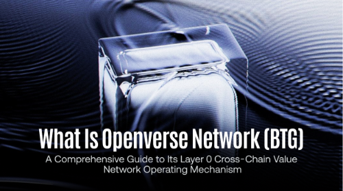 什么是 Openverse Network(BTG)?全面理解 Layer0 跨链价值网络的运作机制
