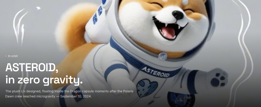 Asteroid Shiba