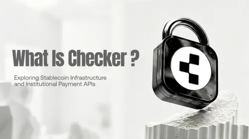 什么是 Checker?解析稳定币 API 基础设施与机构支付服务