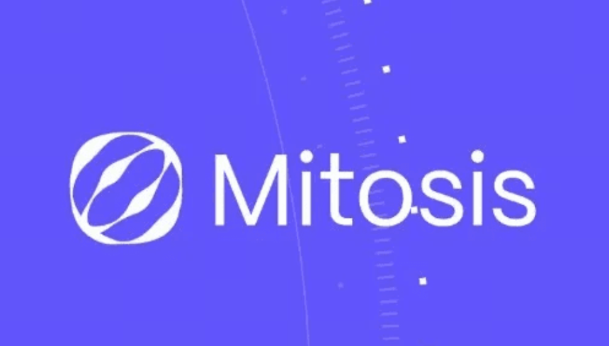 什么是 Mitosis？