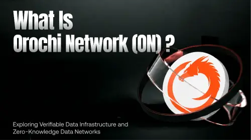 什么是 Orochi Network（ON）？全面解析可验证数据基础设施与零知识数据网络