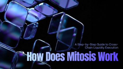 Mitosis 是如何运作的？一次跨链流动性执行流程解析