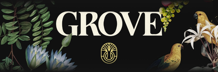 什么是 Grove Finance