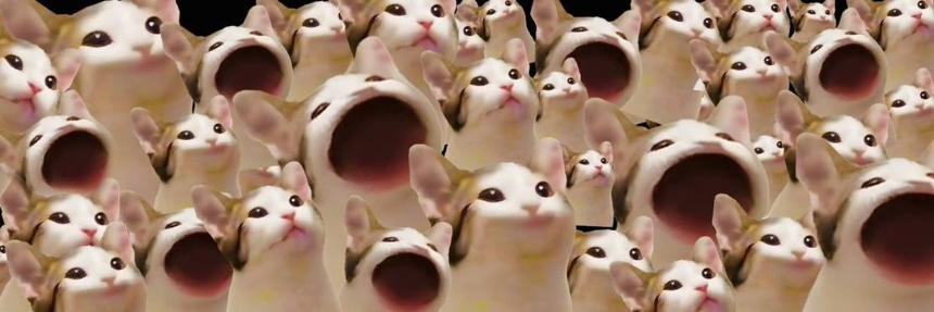 什么是 Popcat Meme