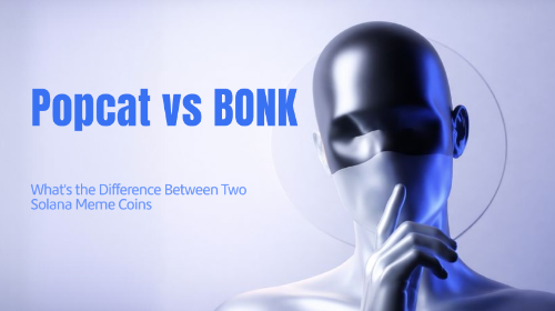 Popcat vs BONK：两种 Solana Meme Coin 有哪些区别？