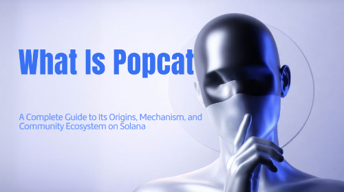 什么是 Popcat Meme？全面了解 Solana Meme Coin 的起源、机制与社区生态