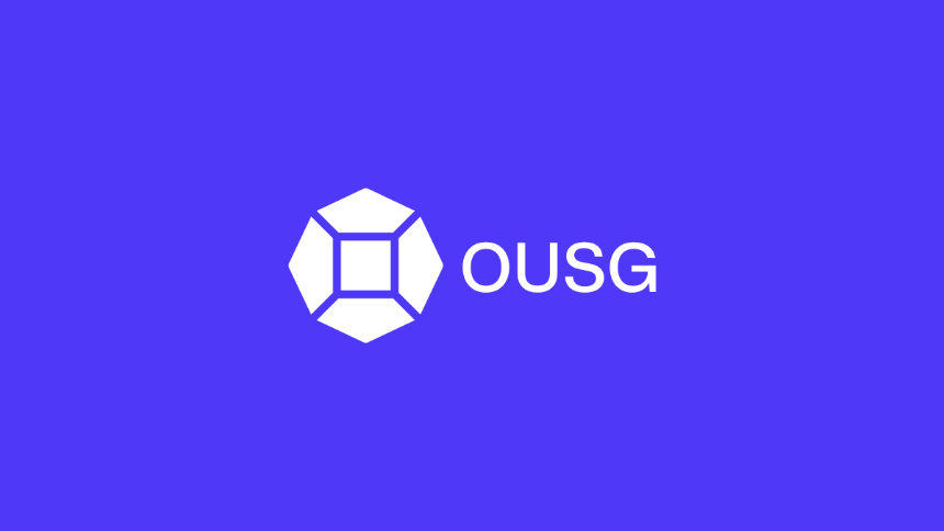 什么是 OUSG？