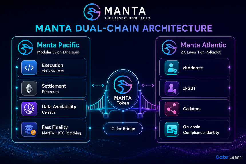 为什么 Manta 采用双链架构？