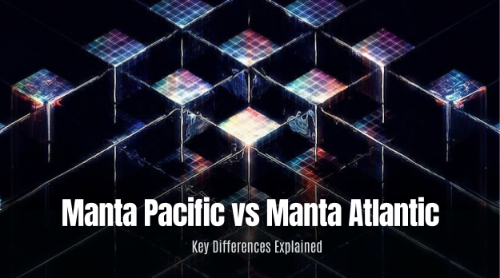 Manta Pacific 与 Manta Atlantic 有何核心差异?